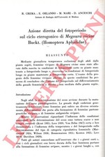 CREMA R. - ORLANDO E. - MARI