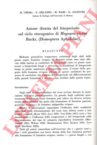 Crema orlando mari - -, e.