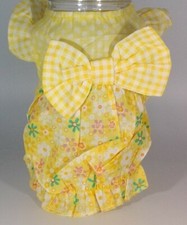 MEDIA 28 cm / 38 cm Chihuahua