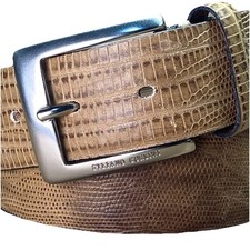 Stefano Corsini Lucertola