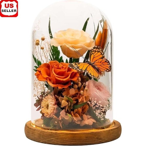 Fiori eterni con cupola - fiori, vetro