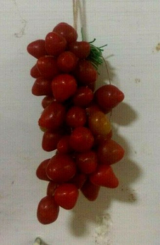 Pomodori cera appesi - pomodori,