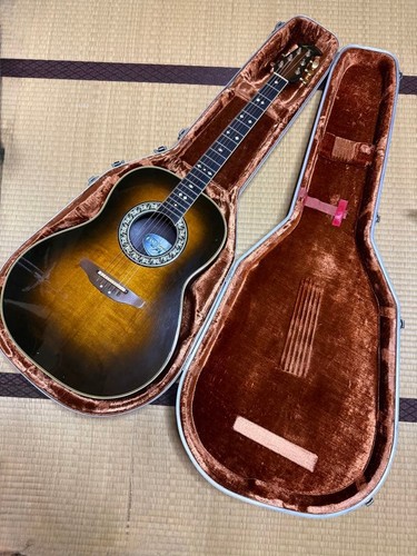 Chitarra elettrica acustica