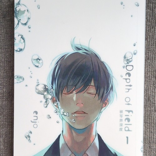 Depth field manga copertina - field,