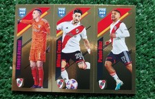 FIGURINA CALCIATORI PANINI