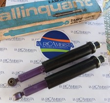 Coppia Ammortizzatori