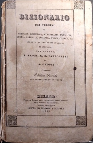 Leoni fantonetti - leoni,a.,