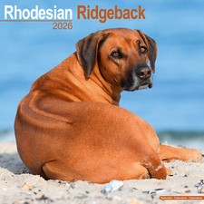 Calendario Rhodesian Ridgeback 2026 | Regalo Razza Cane Parete 15% SCONTO MULTI ORDINI