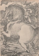 Aligi Sassu - Cavallo - Heliogravure, 1944