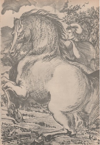 Aligi sassu cavallo - sassu,