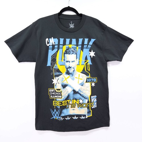 Punk wwe ritratto - cm, est