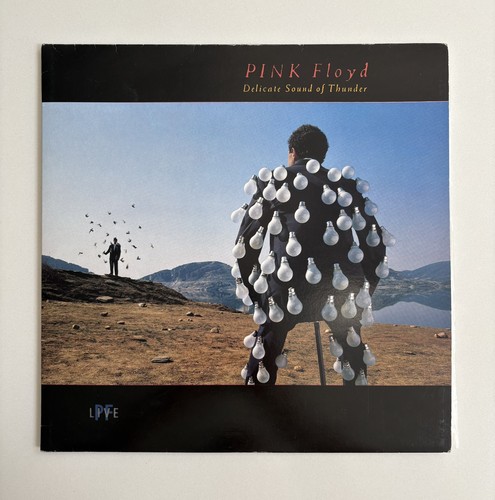 Pink floyd the - the, delicate