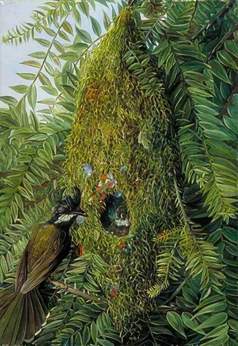 Marianne north nest - marianne, the