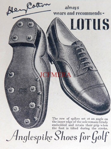 Lotus henry cotton - cotton, anglespike