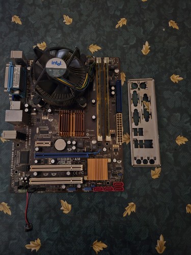 Combo scheda madre asus - scheda,