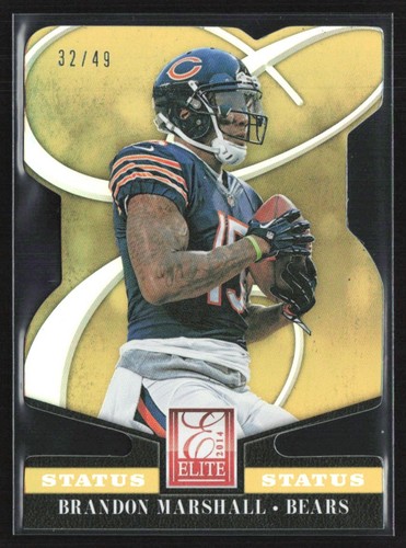 Brandon marshall 2014 panini - brandon,