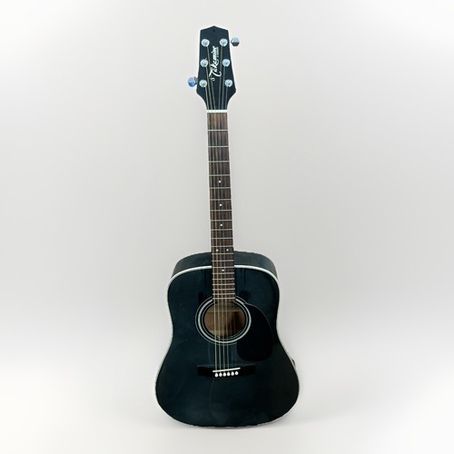 Takamine series dreadnought - takamine,