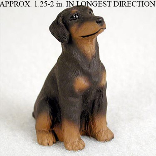 Doberman pinscher mini - doberman,