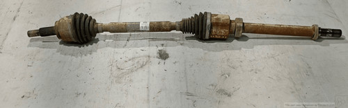 Semialbero ant compl - dx.,