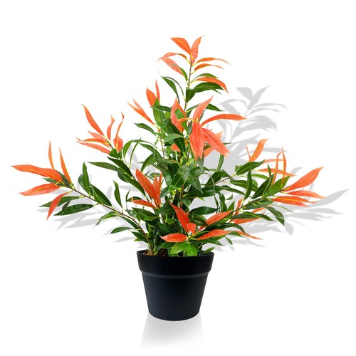 Pianta ficus artificiale - ficus,