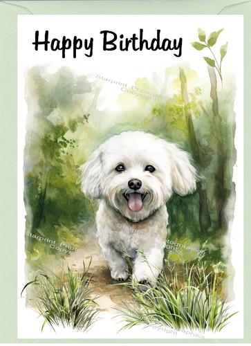 Biglietto compleanno bichon - biglietto,