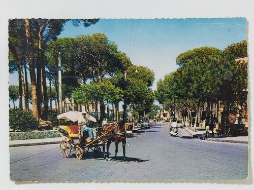 11233 1552 cartolina - 11233, napoli