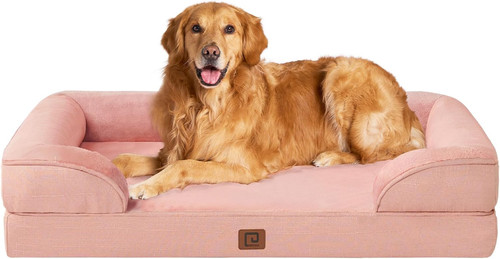 Cuccia cane interno taglia - cane,