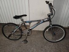 Mongoose expert mid old - expert,