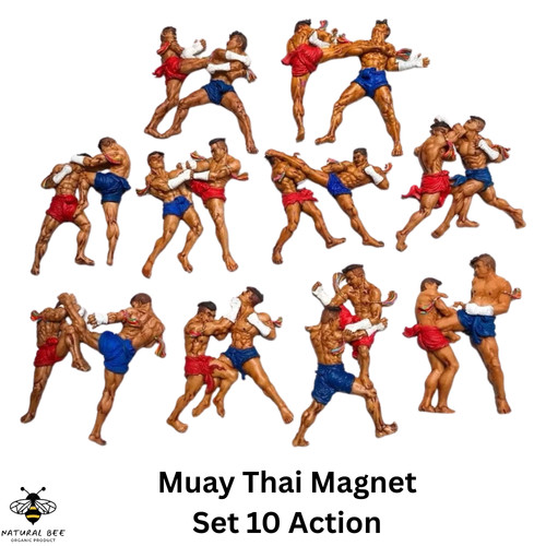 Muay thai boxe calamita resina - boxe,