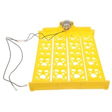  Covatrice Per Uova Automatica