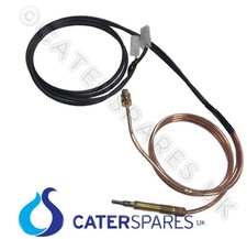 6021770 ANGELO PO Friggitrice