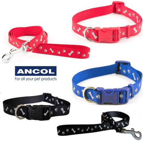 Ancol collare cane cucciolo - collare,
