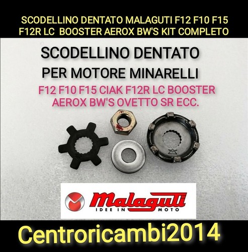 Scodellino dentato malaguti - dentato,