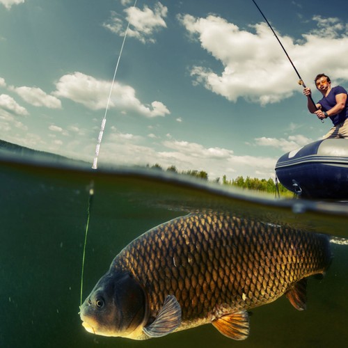 Pezzi attrezzatura pesca - 20, da