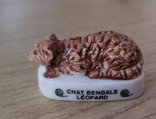 Fava - Gatto Bengala Leopardo