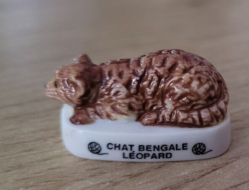 Fava gatto bengala leopardo - fava,