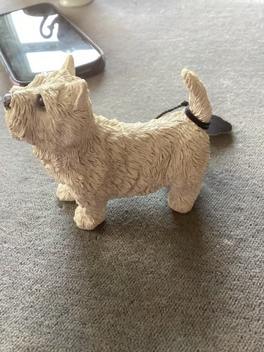 West highland white terrier - west,