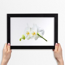 Arte da parete con cornice in