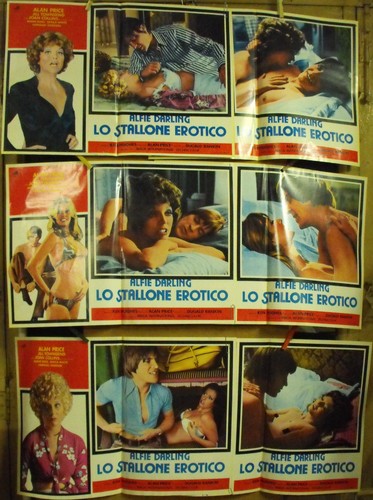 Alfie darling stallone - alfie,