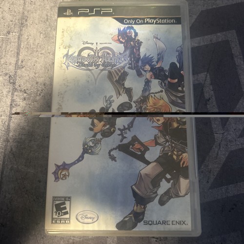 Kingdom hearts birth sleep - kingdom, by