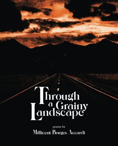 Through grainy landscape - grainy,