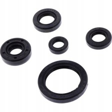 SET DI GUARNIZIONI MOTORE