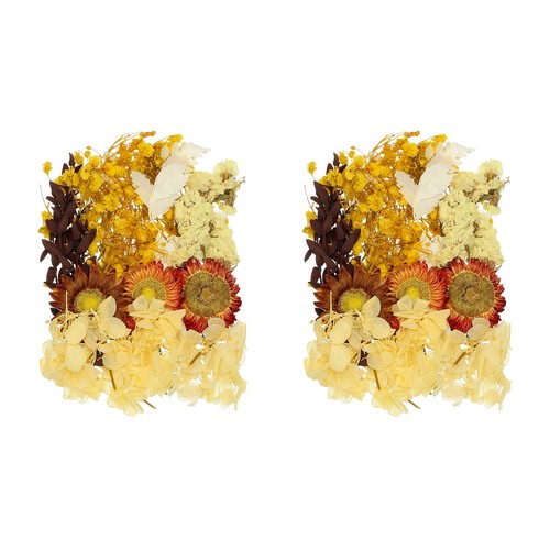 Set fiori secchi naturali - secchi,