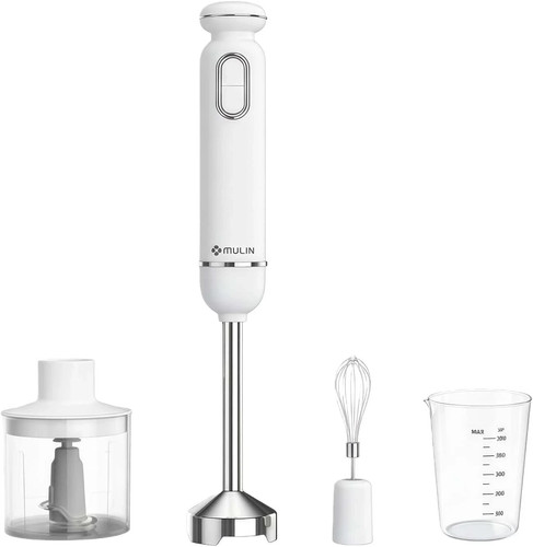 Frullatore immersione 600w - ad,