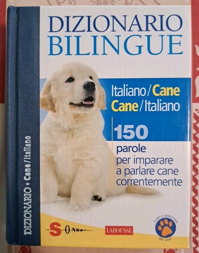 Dizionario bilingue - dizionario,