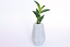 Vaso in marmo bianco carrara