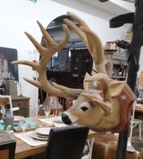 Piccole corna testa scultura - corna,