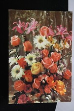 CARTOLINA VINTAGE BUON