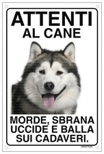 ALASKAN MALAMUTE Attenti al