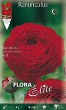 BULBI AUTUNNALI RANUNCOLO